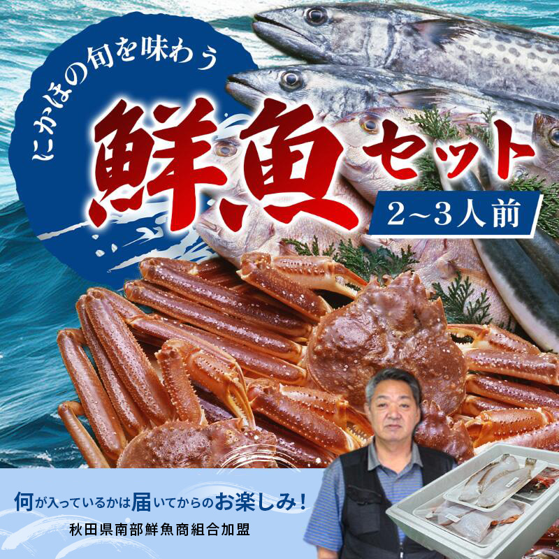 鮮魚 冷蔵 クール便「 開けたらすぐ食べられる下処理済み 海産物 2～3