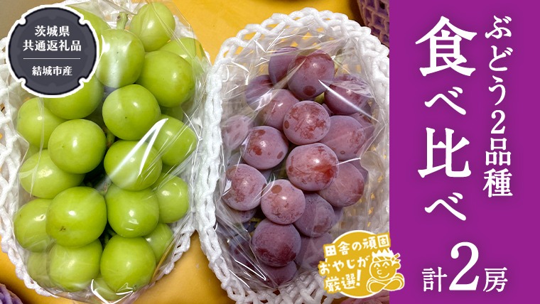 食べ比べセット　桃　さくらんぼ　プラム　スモモ　葡萄　ぶどう　白桃　モモ　ブドウ ぶどう 2品種 食べ比べ（各1房ずつ）【2025年8月より発送開始