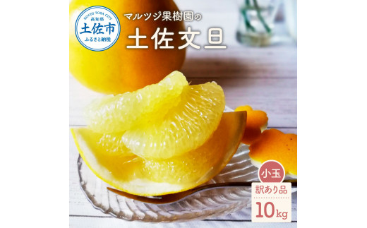 先行予約】マルツジ果樹園の土佐文旦 訳あり品(小玉) 約10キロ 10kg M