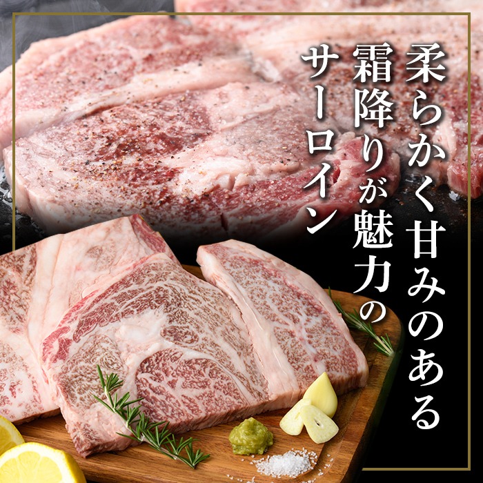 isa611 黒毛和牛ステーキ肉高級部位2種〈リブロース・サーロイン〉食べ