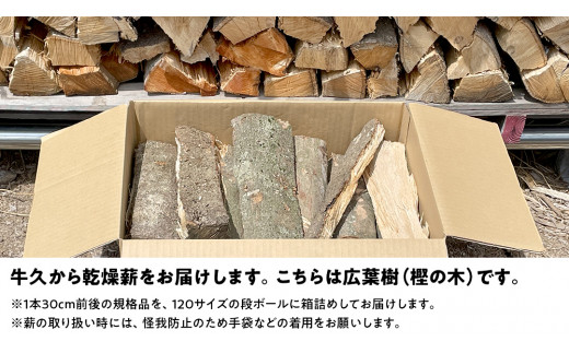 薪、広葉樹、樫の木です 【公式通販】