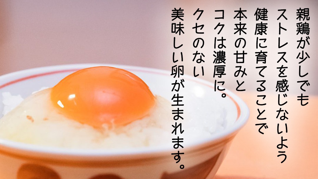 たまご 紅プレミアム 卵 30個 （ 25個 入り ＋ 割れ保障 5個 ） 独自飼料 濃厚