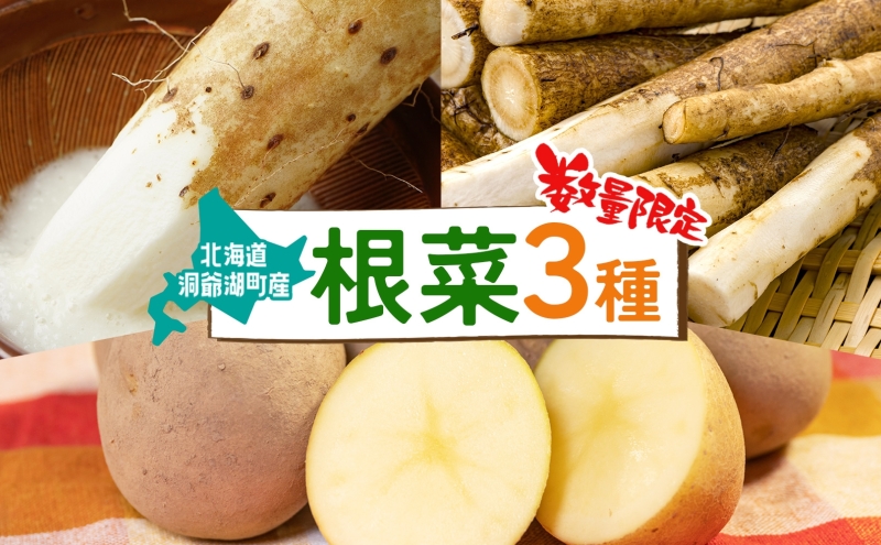 数量限定 根菜3種セット 計8.6kg 土付き 長芋 5kg 土付き ごぼう 1.8kg
