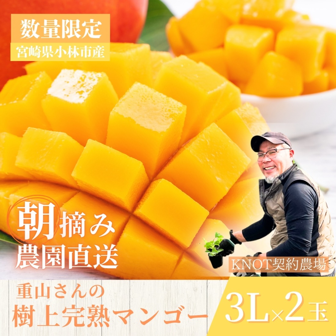 2026年発送 先行予約】生産農家応援・濃厚果肉 みやざき完熟マンゴー極