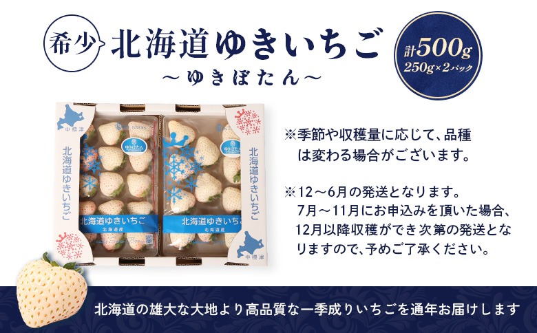 追加あり　苺②白❹なぎさん専用 12月以降、随時発送！】【北海道産】ゆきいちご（白いちご） 2Pセット