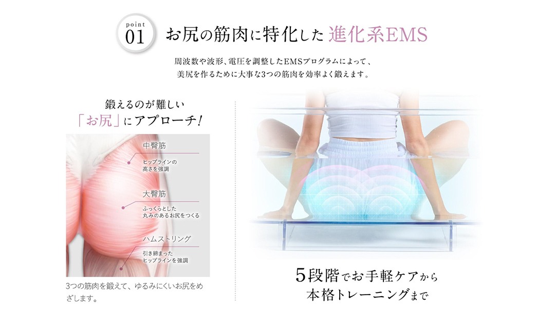 WAVE WAVE EMS Hydro Mat EMS LED 光エステ 美尻 ボディメイク