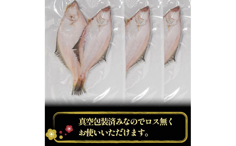 エテカレイ干物 1kg(5～8尾) 魚 干物 エテカレイ 加工食品 ひらき 魚介