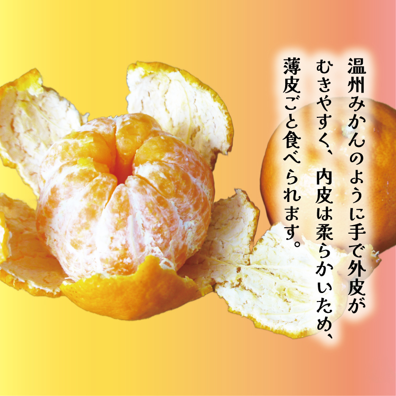 数量限定 順次発送 お試し用 ポンカン 3kg 9000円 みかん mikan 蜜柑