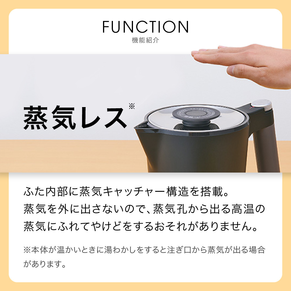 タイガー魔法瓶 温度調節機能付き電気ケトル PTQ-A100HS スレート
