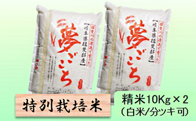 特別栽培米 【 令和8年産 】 精米 20kg（白米/5分/7分ツキ可）【 夢