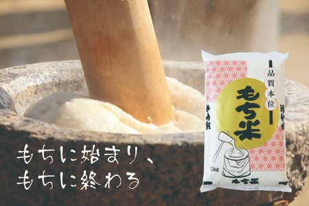 令和6年度　もち米　10kg 熊本県産　ひよくもち ヒヨクモチ 米 もち米 精米10kg 熊本県産 令和6年産 10kg : こめ