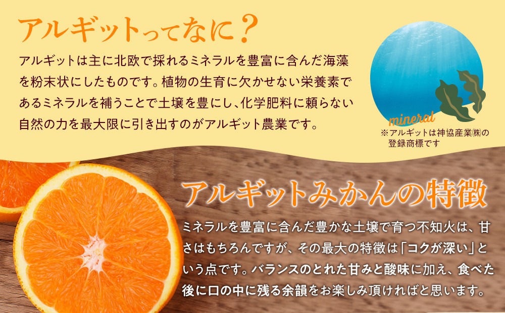 完熟 小粒 アルギット みかん 5kg 2S ～ 3S サイズ | 先行予約