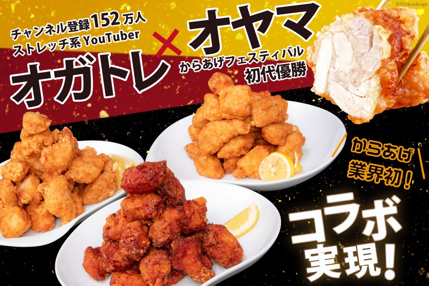 食品サンプル塩唐揚げ20個、レタス2枚 なき
