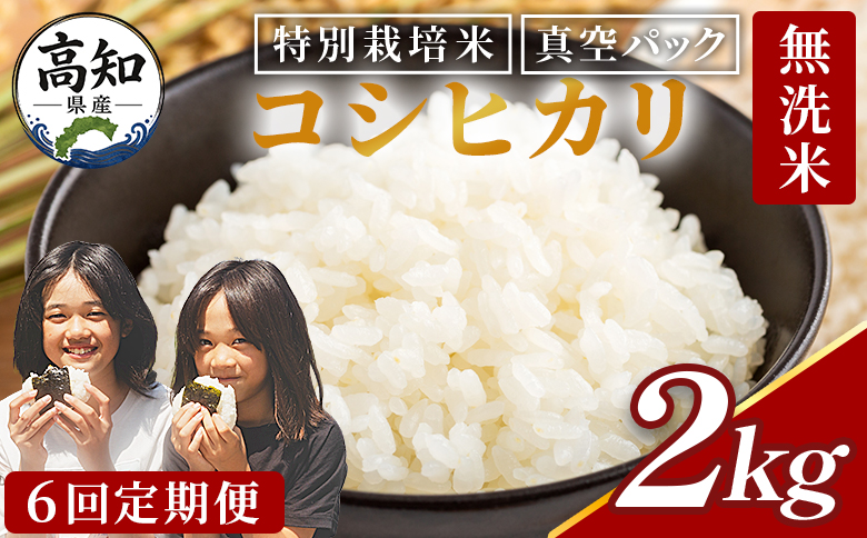 無洗米 2kg 【6回定期便】令和8年産 高知県香南市産 特別栽培米