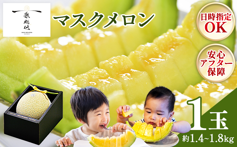 メロン 【2週間程度で発送】一果相伝マスクメロン 1玉入り 篤農 tn
