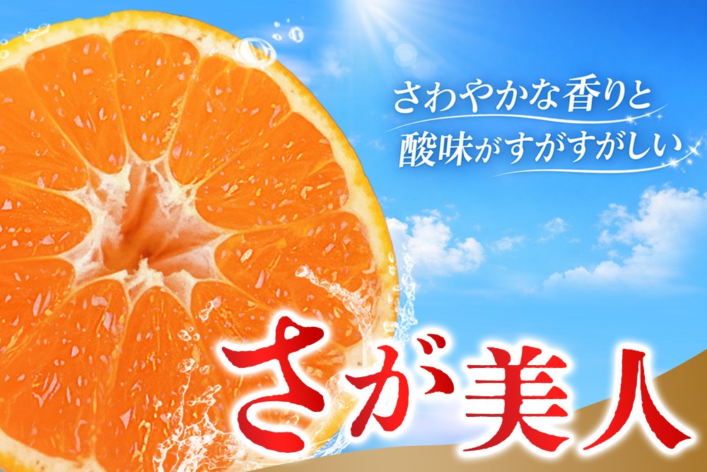 2026年10月上旬より発送開始】佐賀美人(みかん) 4kg S～2Lサイズ