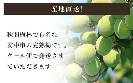 2026年発送分先行予約】旬をお届け!完熟梅【Lサイズ5kg