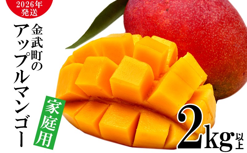 2026年発送】農家さん直送！アップルマンゴー2kg以上 家庭用