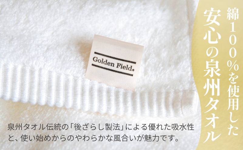 G5651 【スピード発送】GFプレミアム バスタオル 2枚セット チャコール