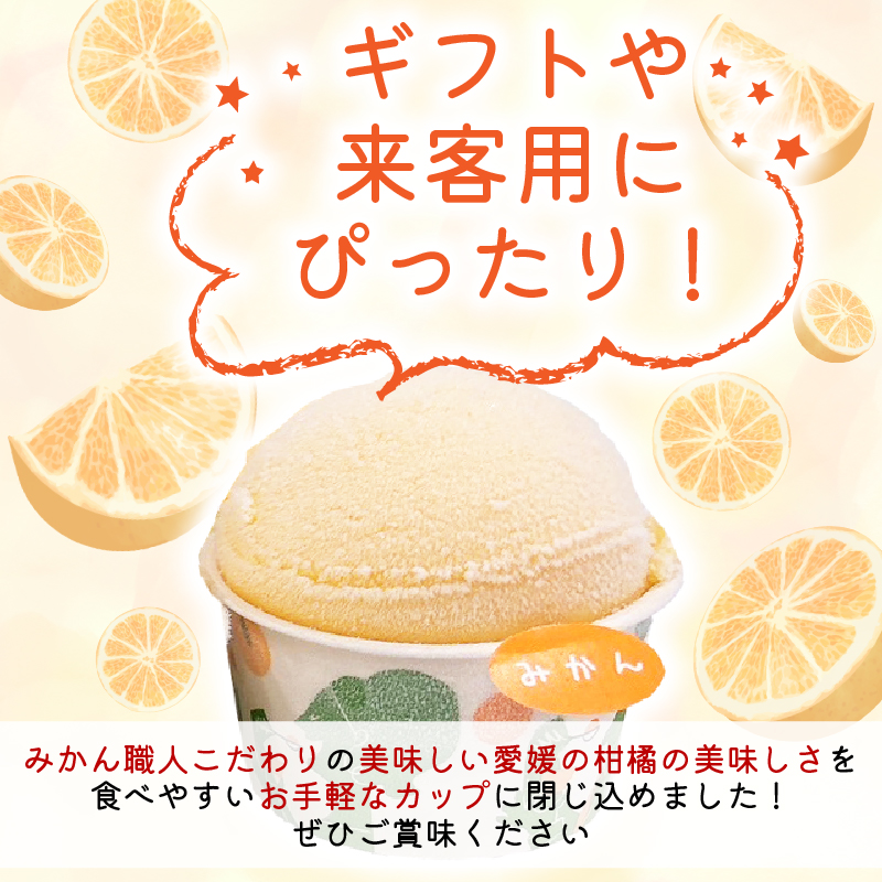 柑橘 カップ アイス 14個 (4種) 【 夢オレンジ 河内晩柑 愛媛みかん