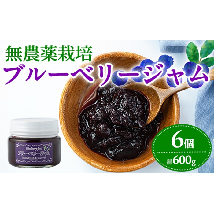 【年末特価】デンマーク産　ブルーベリージャム6瓶 12161】贅沢な国産ブルーベリージャム(100g×6個・計600g)ジャム 瓶