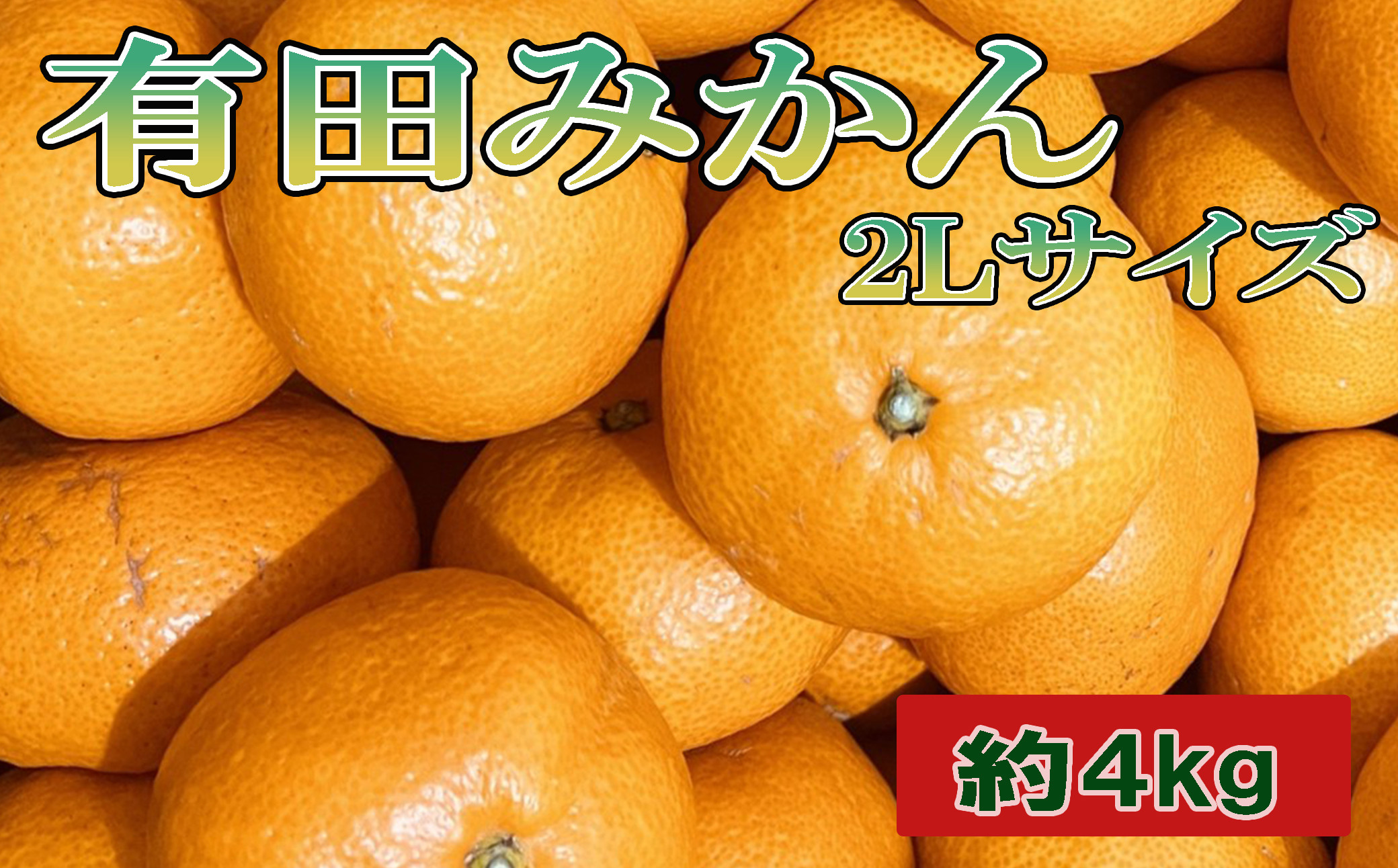 秀品]和歌山有田みかん約4kg(2Lサイズ) ☆2026年11月中旬頃より順次