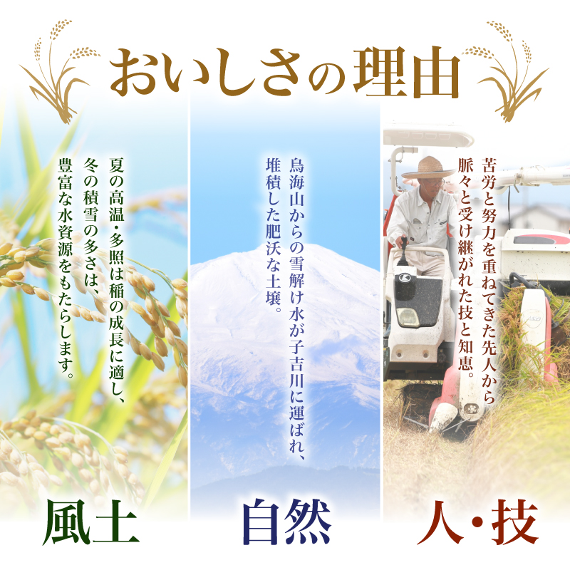 ひとめぼれ 令和7年度産 精米10kg(5kg×2)【精米 白米 米 コメ お米