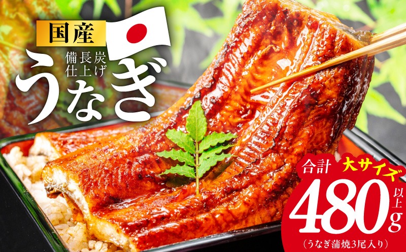 G4237-1 国産うなぎ蒲焼 480g以上（大サイズ3尾）【レンチン 湯煎対応