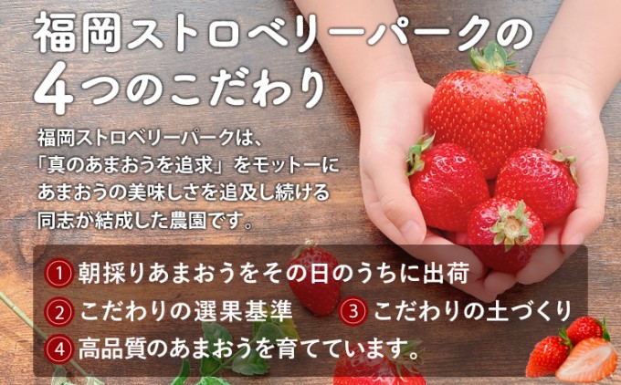 訳あり いちご 2027年2月下旬より発送 あまおう サイズ色々 6パック 約