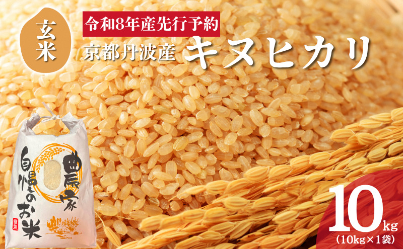 食品 【 お米 】 京都府産 令和7年産 キヌヒカリ10キロ 精米