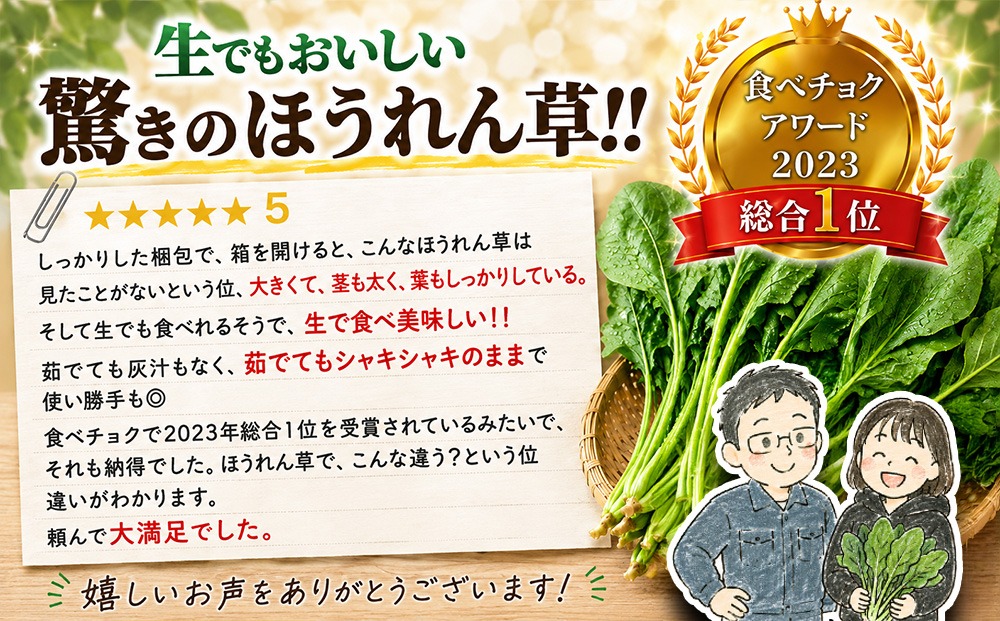 ほうれん草 約1.8kg(150g×12袋)【ハウス栽培 産地直送 クール便 佐賀県