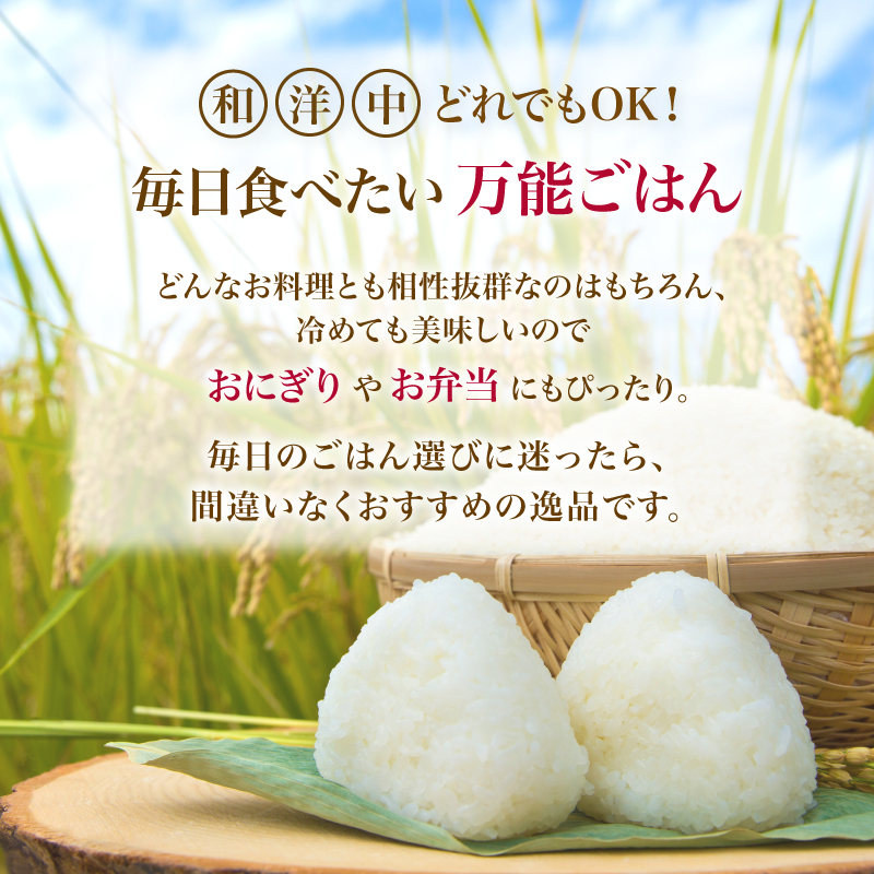 2ヵ月定期便】令和7年度産 ひとめぼれ 5kg 【 精米 白米 米 コメ お米