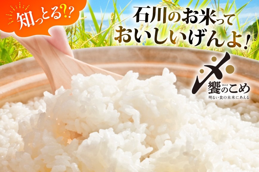米 定期便 無洗米 ひゃくまん穀 5kg × 6回 総計30kg [中橋商事株式会社