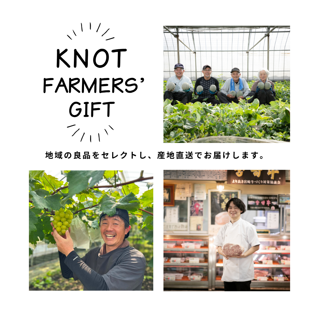 2026年発送 先行予約】生産農家応援・濃厚果肉 みやざき完熟マンゴー極