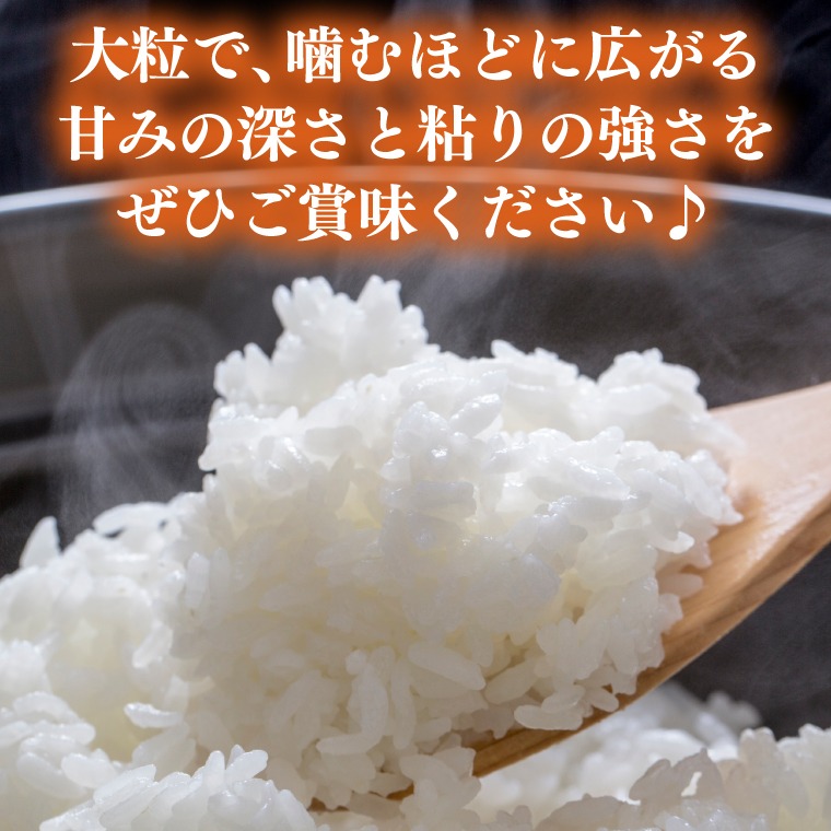 ☆新米 令和8年☆ 米 5kg 白米 「ゆうだい21」・12月発送 ＼先行予約