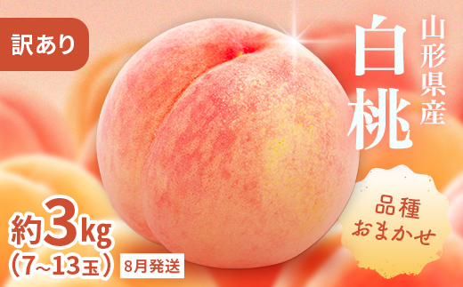 FYN9-731 ≪2027年先行予約≫ ご家庭用 8月発送 山形県産 品種おまかせ