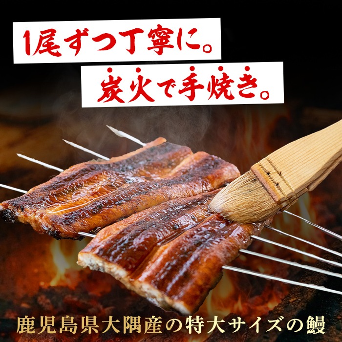 0174321a】東串良町のうなぎ炭火蒲焼、白焼(無頭)(2尾・計約300g・タレ
