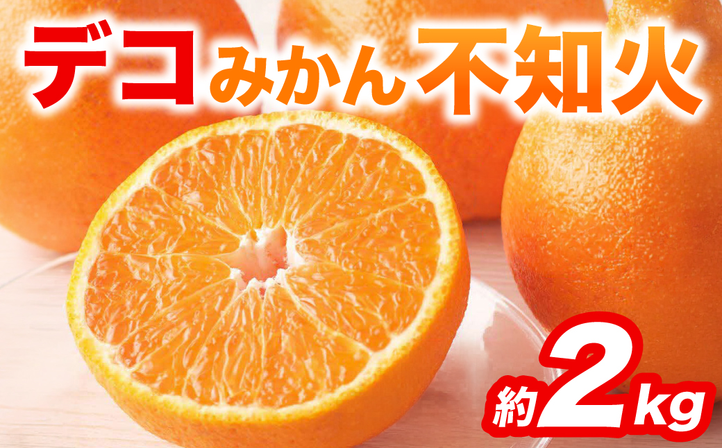 先行予約】 不知火 デコみかん (デコポン同品種) 約2kg (5～9玉