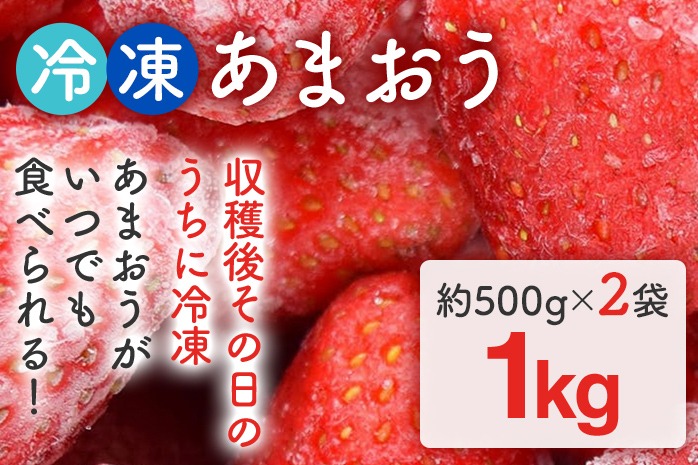 福岡県産【博多冷凍あまおう】 約1kg 産地直送 産直 朝採れ 朝採り