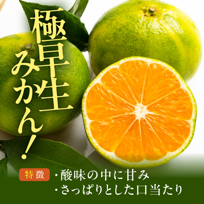 訳あり みかん 極早生 箱込 5kg ( 内容量 4.4kg ) サイズミックス 有田
