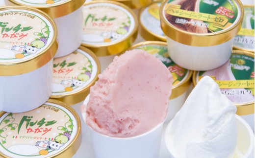 ドルチェかがみ 砂糖不使用のヘルシージェラートセット 12個入り dc