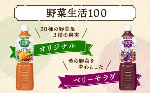 #46,47,49,50,52 野菜ジュース様売約済 カゴメ野菜ジュース＜トマトサラダ＞（カゴメ）2025年7月8日発売