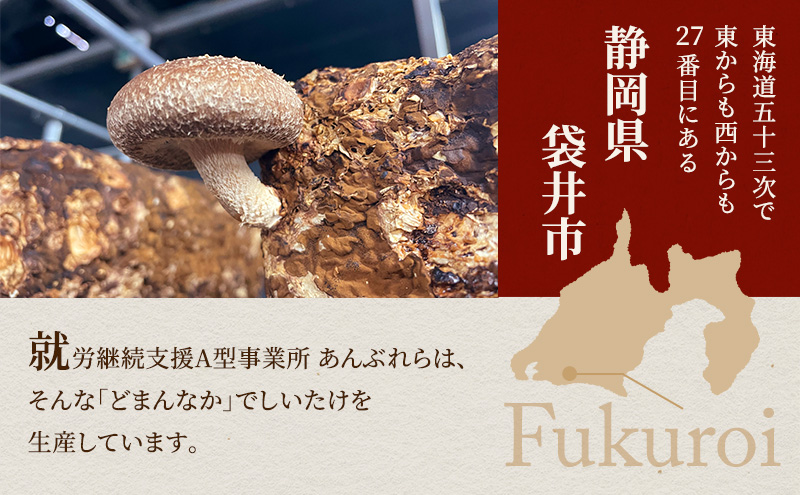 遠州どまんなかしいたけ】 生しいたけ 約400g 椎茸 産地直送 国産 料理