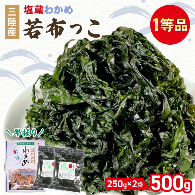 早採り 塩蔵わかめ 若芽っこ 250g×2袋 海鮮 海藻 わかめ ワカメ 魚貝類