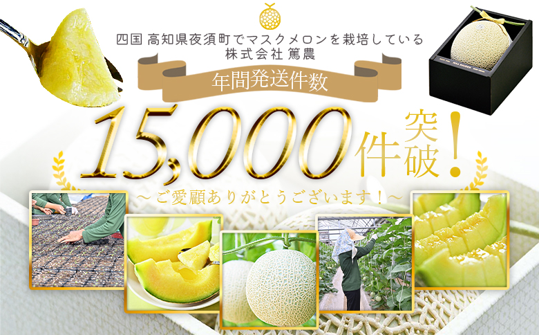 メロン 【7日程度で発送】一果相伝マスクメロン 2玉入り - 最短配送