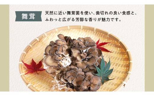 きのこ きのこ の 詰め合わせ Sサイズ ( 約1kg ) （茨城県共通返礼品：城里町