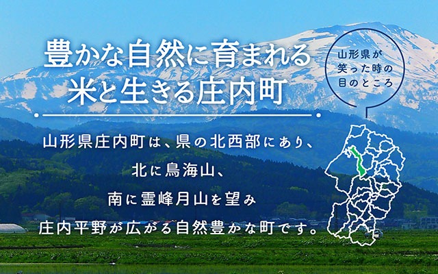 庄内町産 特別栽培米 玄米はえぬき 10kg 2kg×5袋 令和7年産 2025年産
