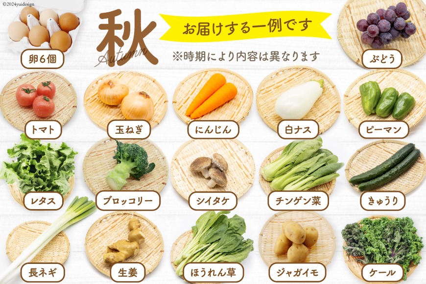 まちゃ様 野菜セット果物追加 BA025 野菜・フルーツ・卵 旬のおまかせセット （野菜・フルーツ