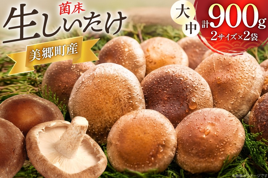 生しいたけ セット 約300g× 2袋 約150g× 2袋 計4袋 約900g [杉本きのこ