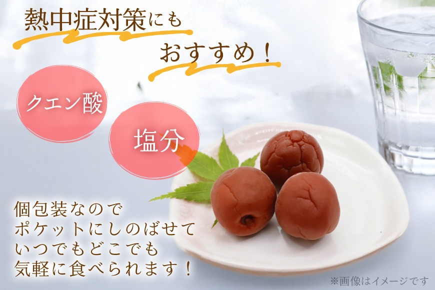 カリカリ】梅恋し 10個×2袋 [山梨農産食品 山梨県 韮崎市 20743175